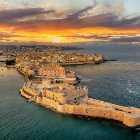 Nassa D'ortigia *