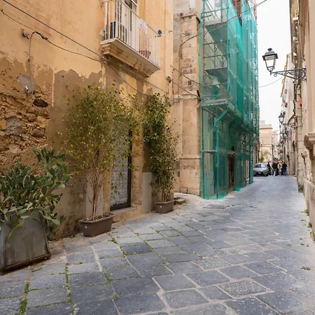 Nassa D'ortigia